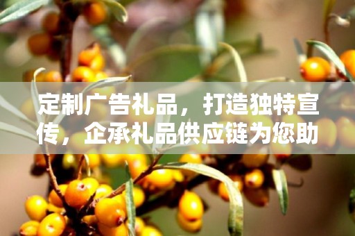 定制广告礼品，打造独特宣传，企承礼品供应链为您助力